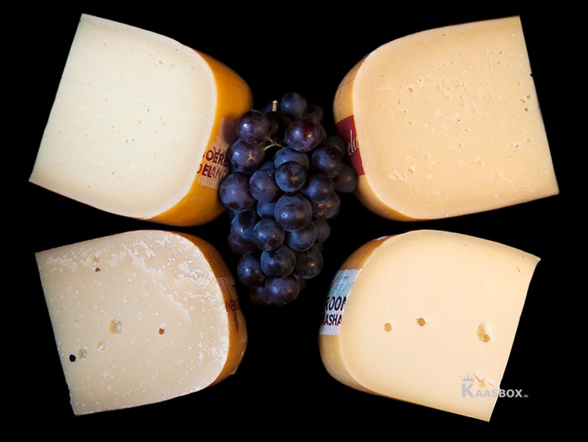 Cheesebox Holland